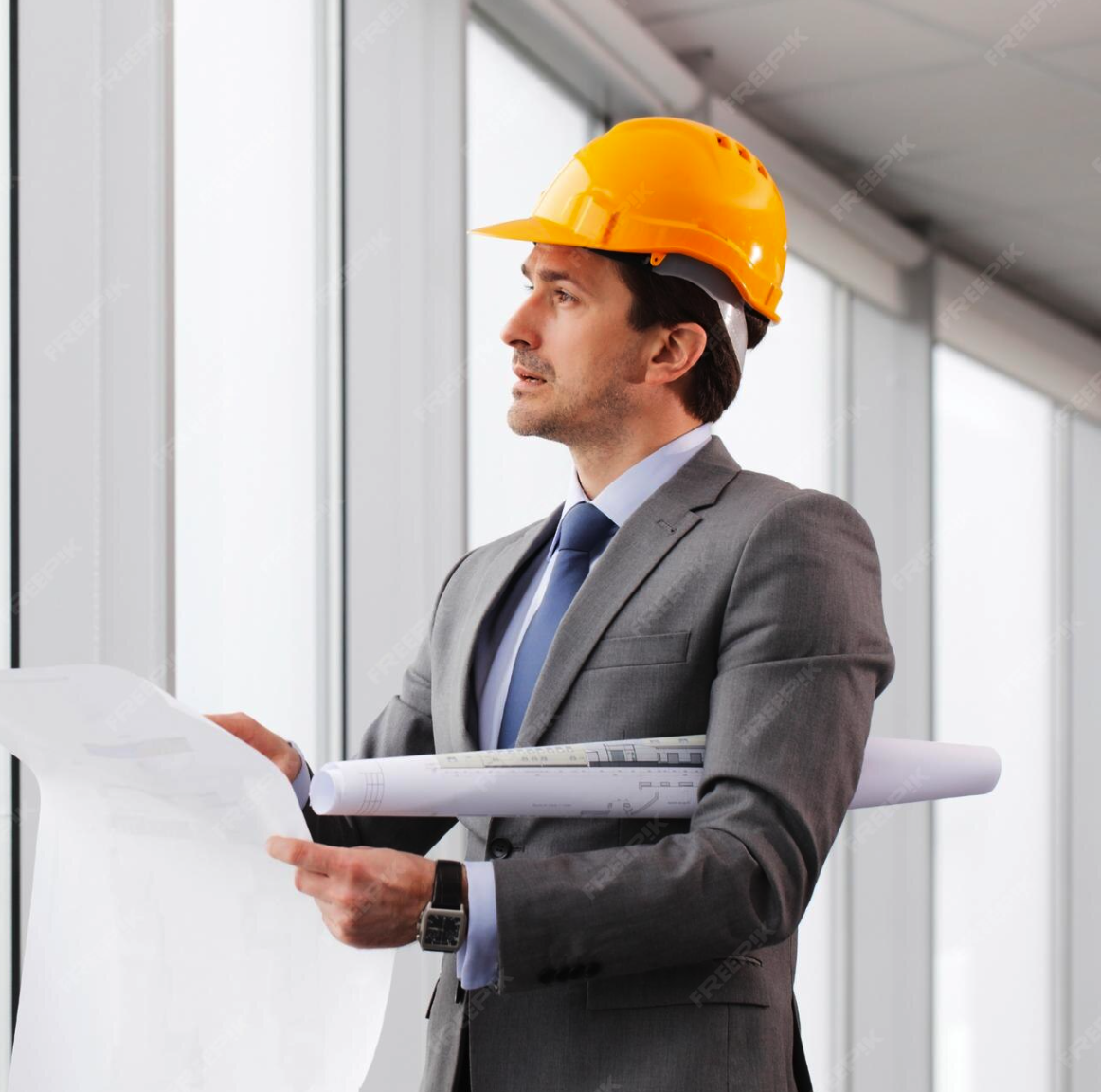 Goliath expert assessment